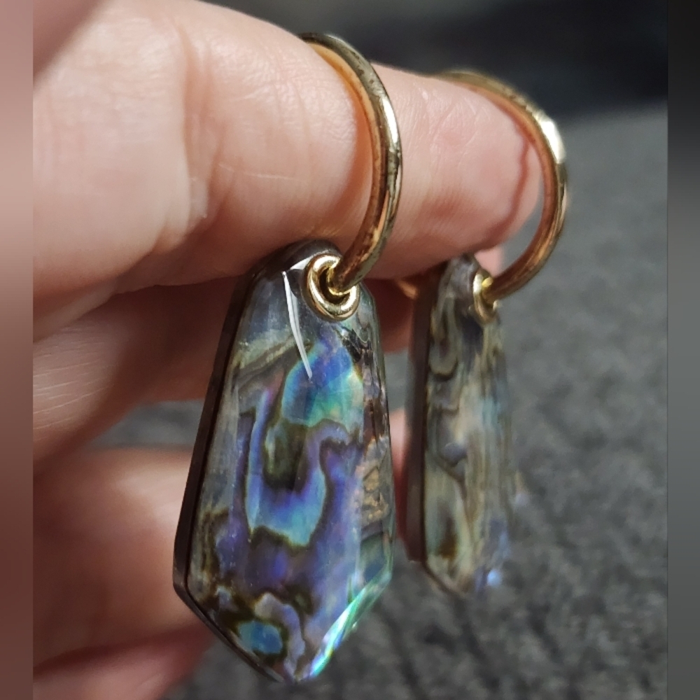 Abalone Shell Dangle Earrings - Picture 3 of 10